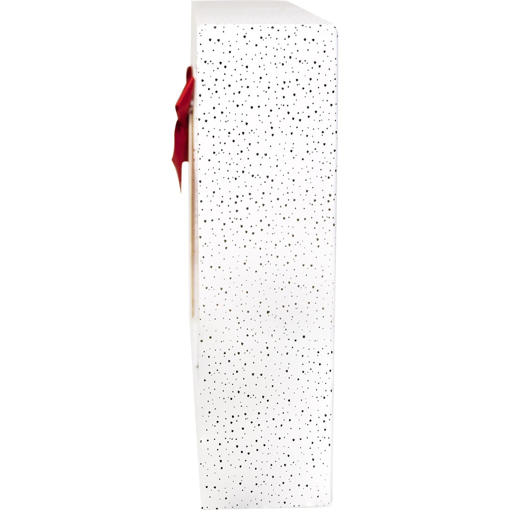 MY CHRISTMAS VILLAGE advent calendar