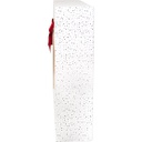 MY CHRISTMAS VILLAGE advent calendar