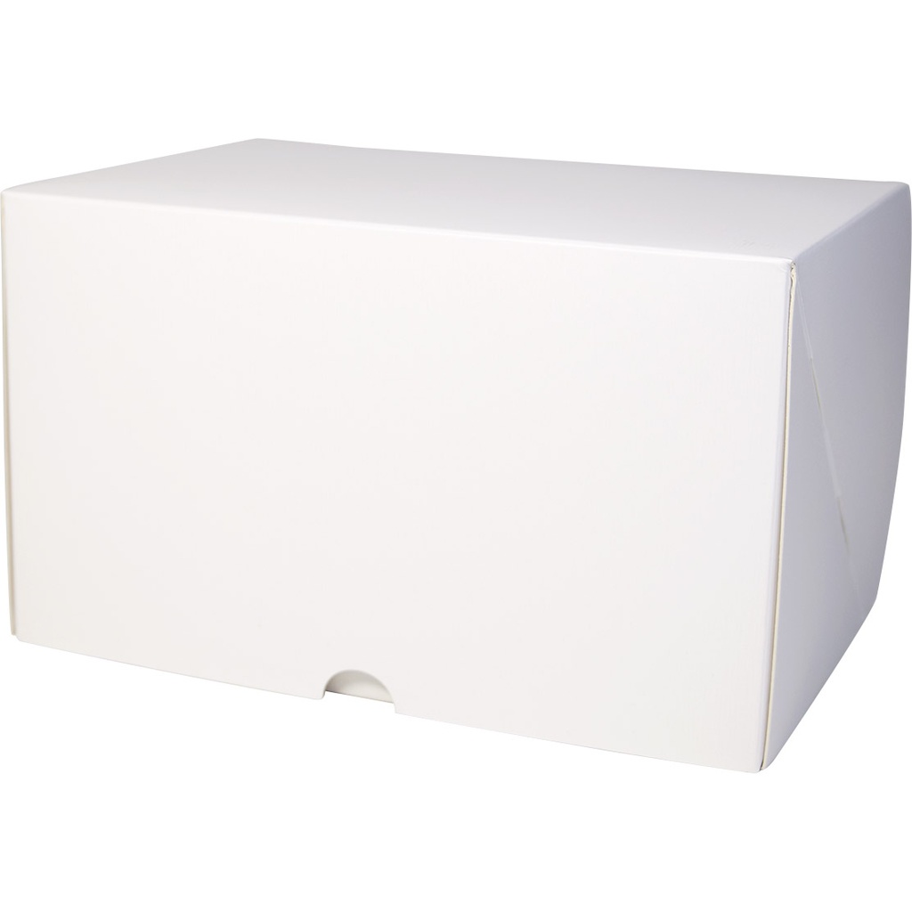 BOITE BUCHE blanche 20