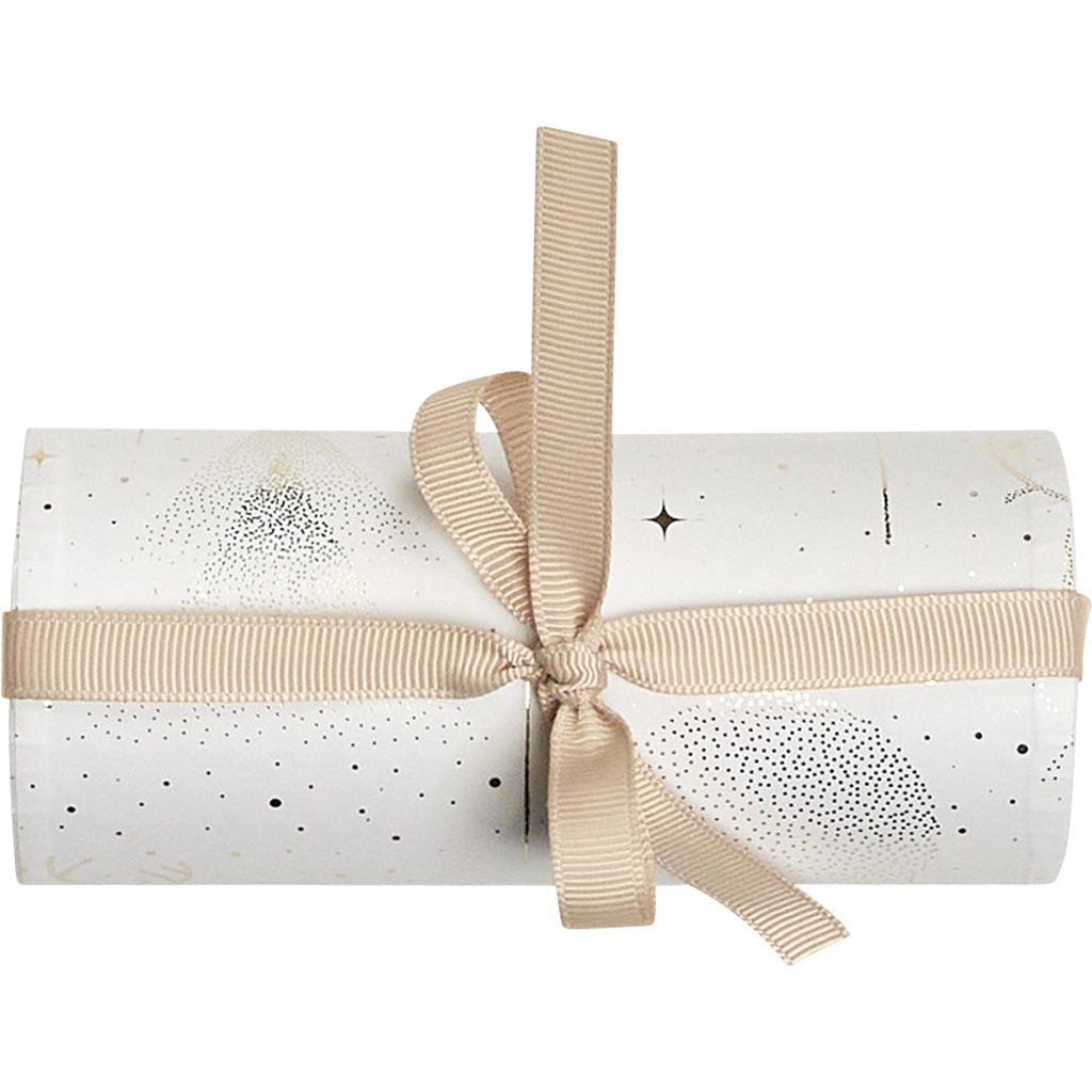 SCENES DE NEIGE round macaron box 4pcs