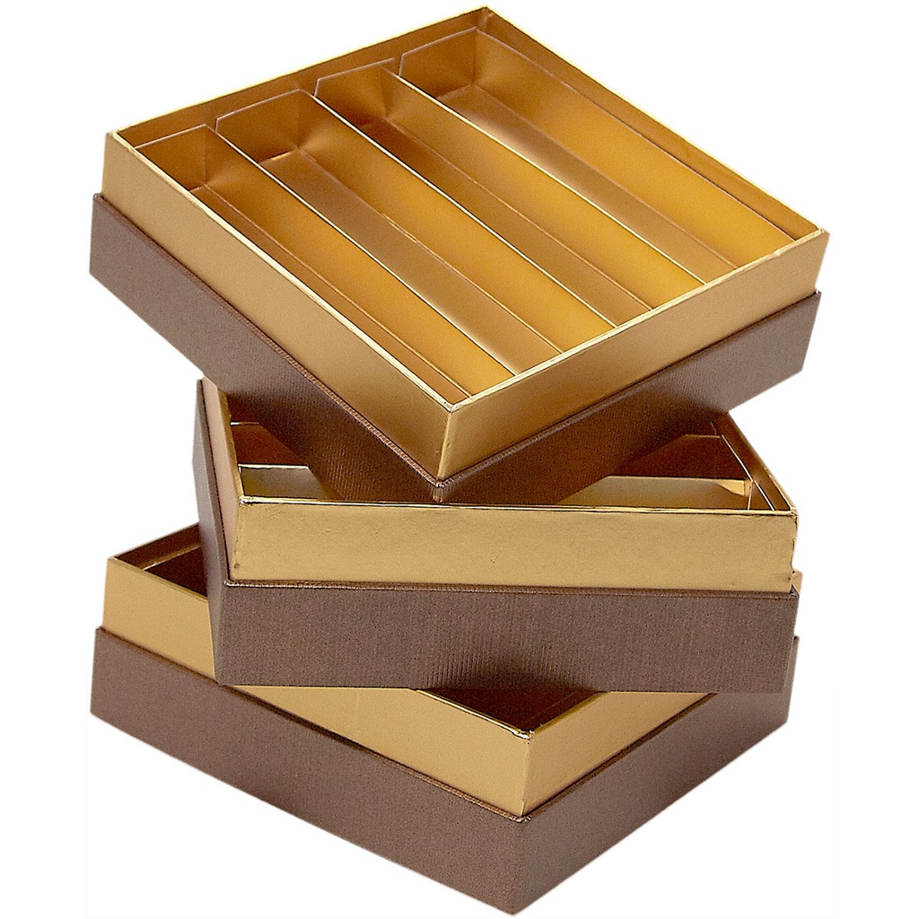 TERRA intermédiaire***