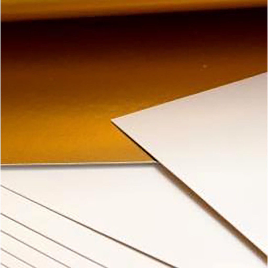 CARTON or/blanc feuille soft 