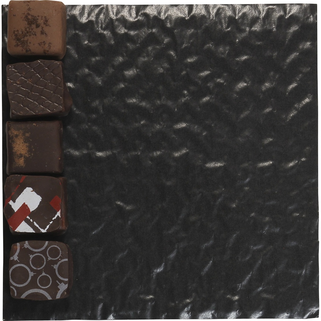 COUSSINET noir 17 -CUS011790