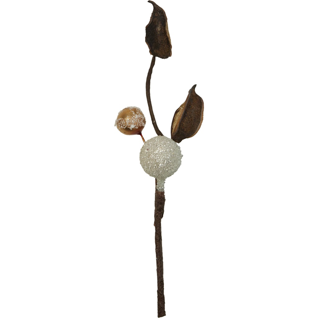 MATIN D'HIVER pick 3