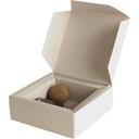 CRUSH - scatola piatta 08 