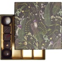 MAGICAL FOREST neck 14