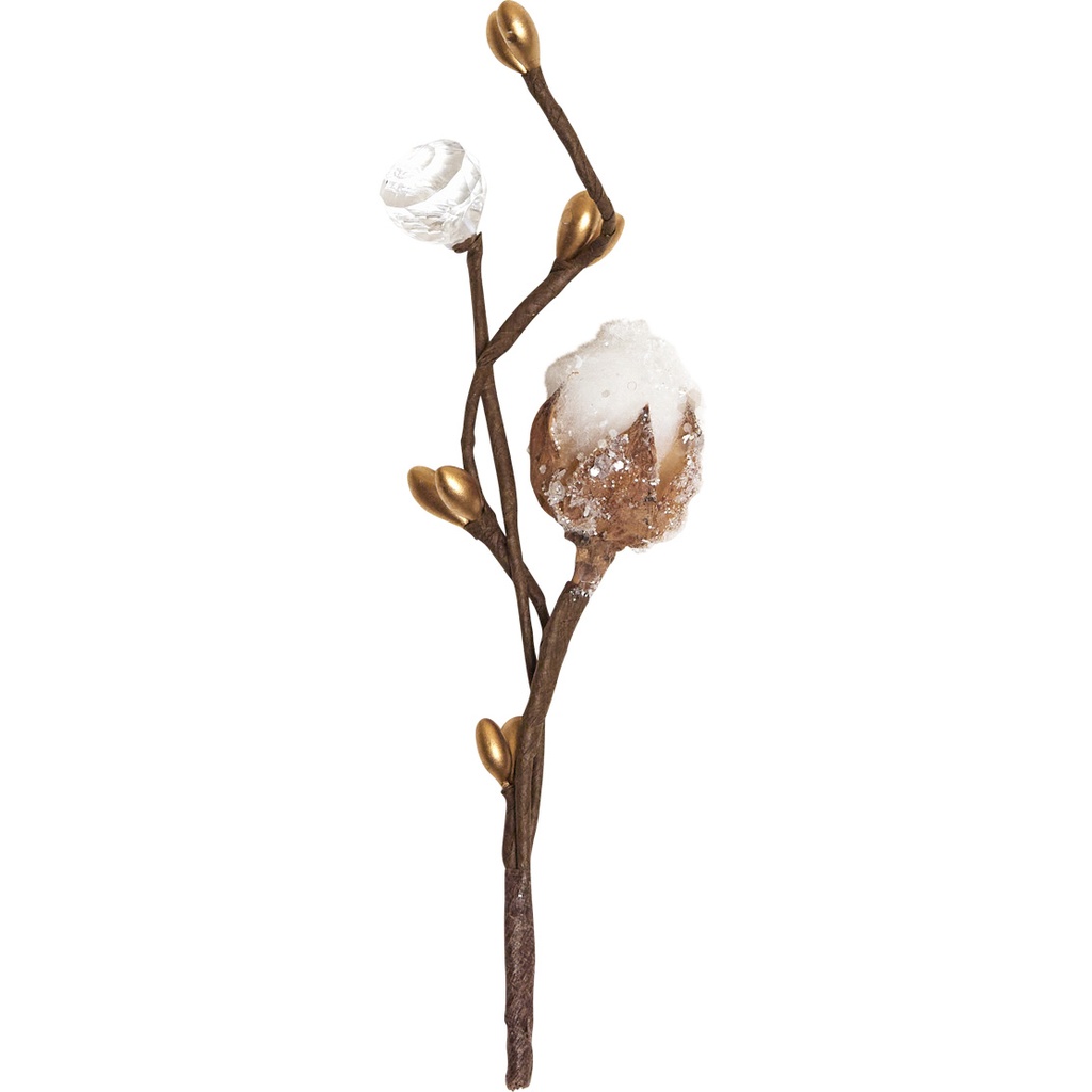 BRUME D'HIVER pick 3