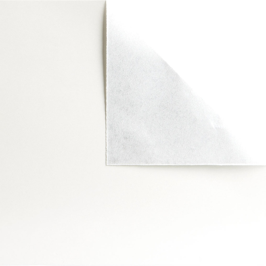 BIRD OF PARADISE paper sheets  