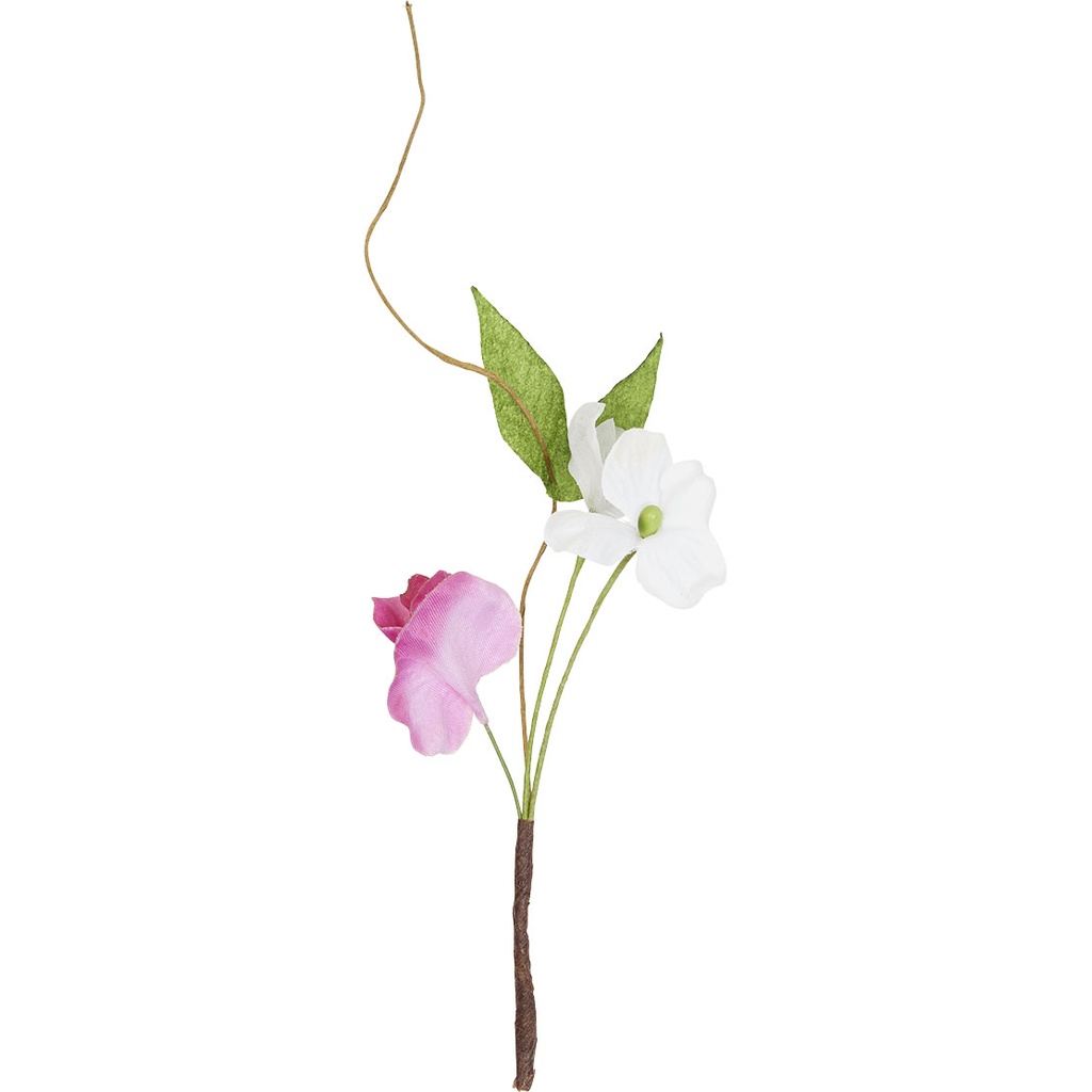 SECRET GARDEN Pick 1