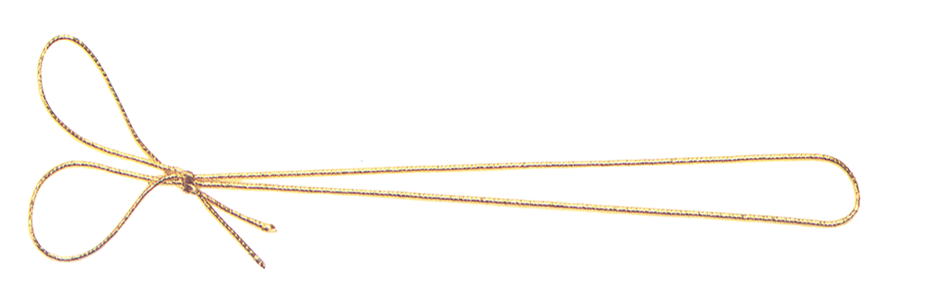 ELASTISCHE 2 Schlaufen 25