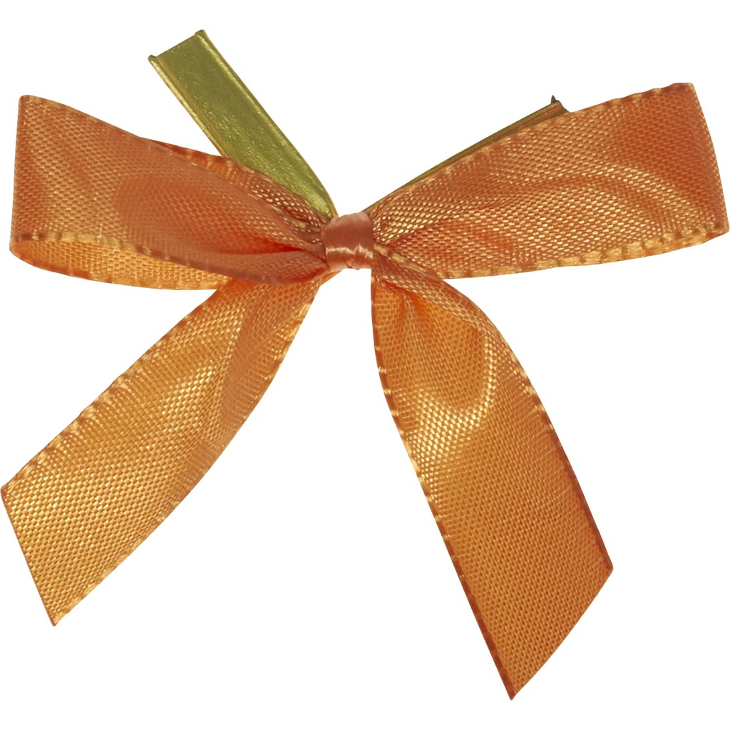 CLIP schleife orange 41