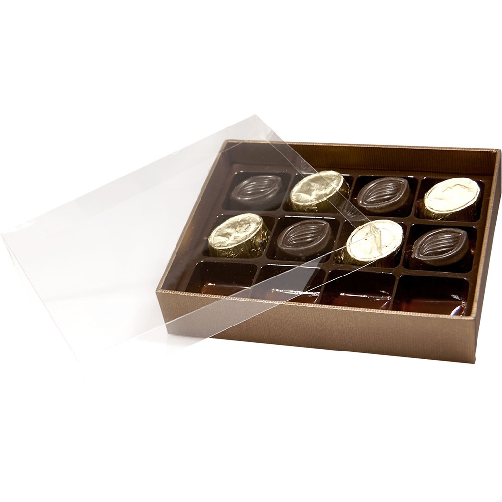 TERRA transparent 12