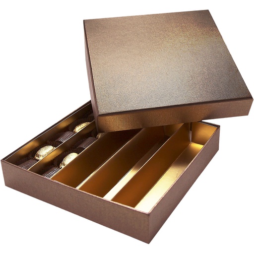 [5534*32*17*78] TERRA 17