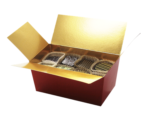 [3090*07*25*20] BALLOTIN rouge 250