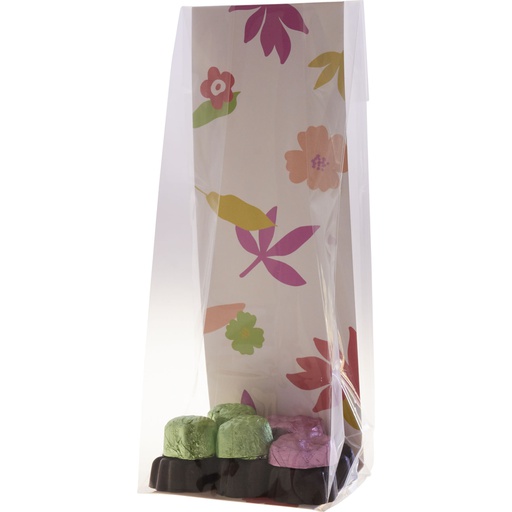 [3678*30*02*99] Casual Panorama 02