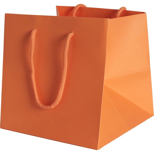 [3022*07*20*40***] BAG 20 COLOR 40***