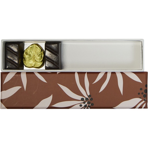 [5532*70*05*99] TERRE DU SUD reglet 05