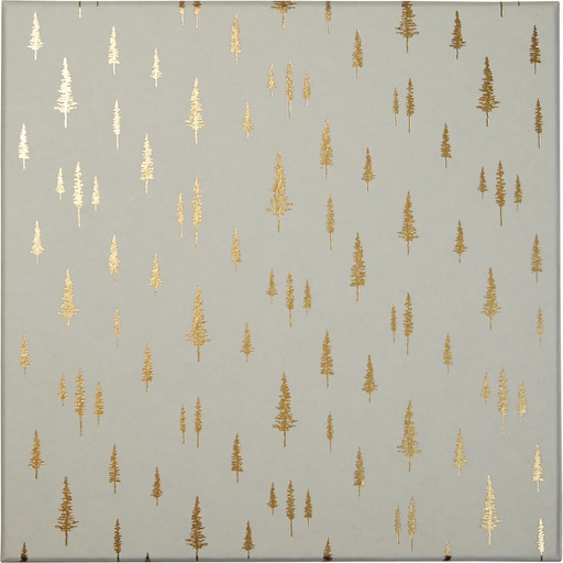 [5532*77*17*01] MATIN D'HIVER basic 17