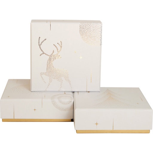 [5531*09*10*01] SCENES DE NEIGE basic 10 assortment of 3