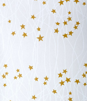 [JS*510250] STARRY NIGHT paper sheets  