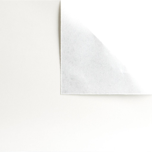 [JS*015296] BIRD OF PARADISE paper sheets  