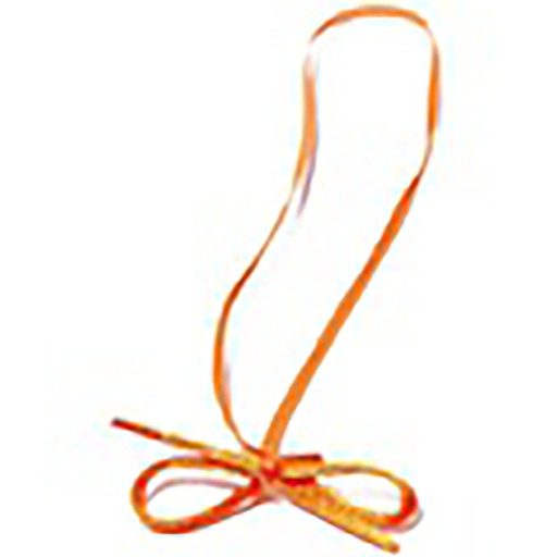 [2919*03*40*40***] ELASTIC 4 orange