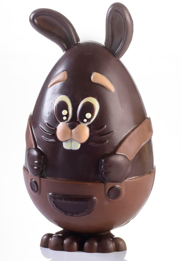 [MA*MAC604S] FORM - Rabbit 