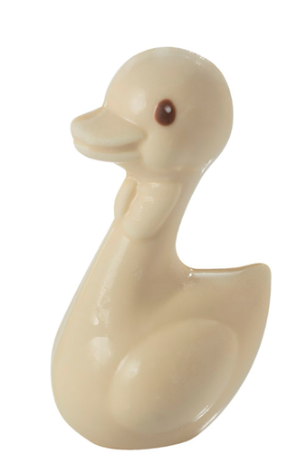 [MA*MAC611S] FORM - Duck