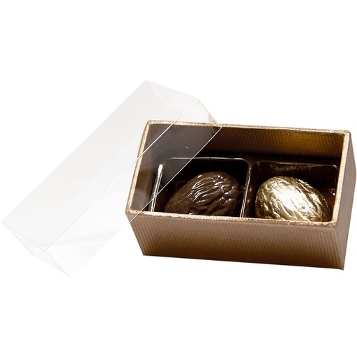 [3534*32*02*78] TERRA transparent 02