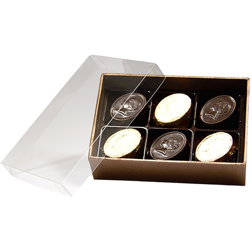 [3534*32*06*78] TERRA transparant 06