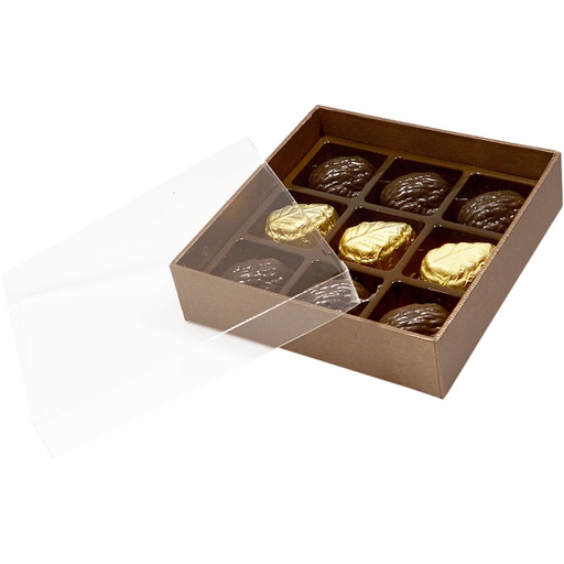 [***3534*32*09*78] TERRA transparent 09 -BXT320978